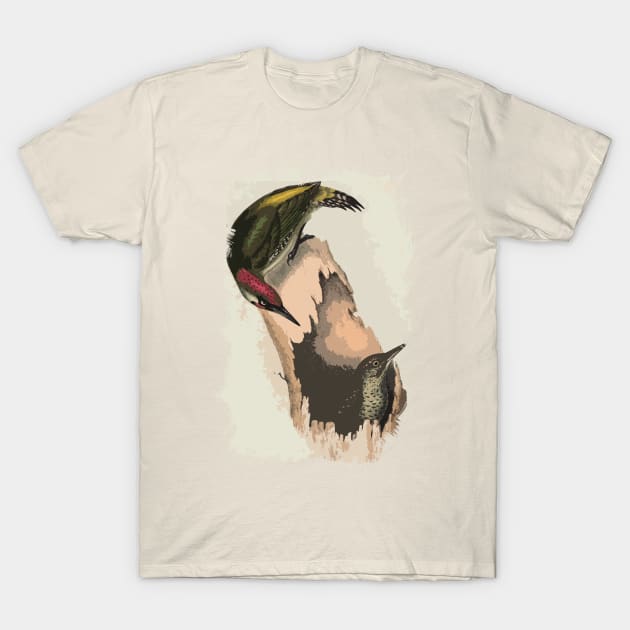 European green woodpecker T-Shirt by Naumovski